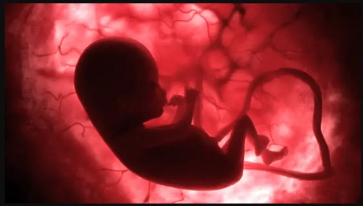 5646aa20edaf3509485dd3d23a0066e7